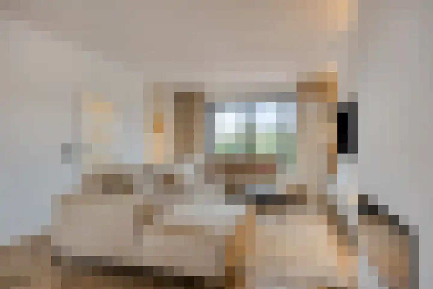 Alsemlaan 20 Waalre thumbnail 13