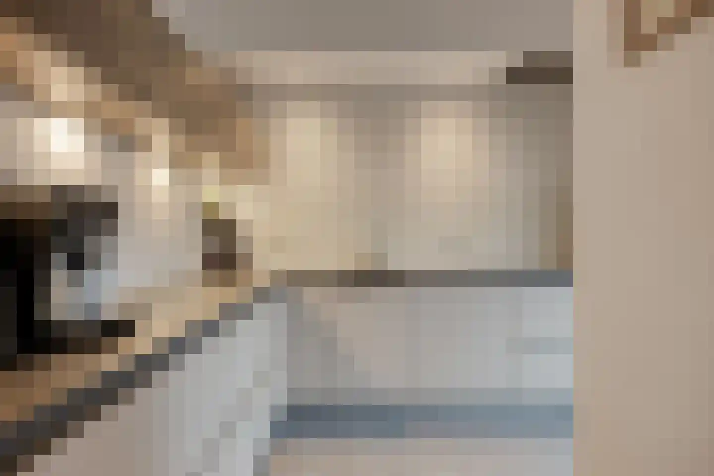 Alsemlaan 20 Waalre thumbnail 15
