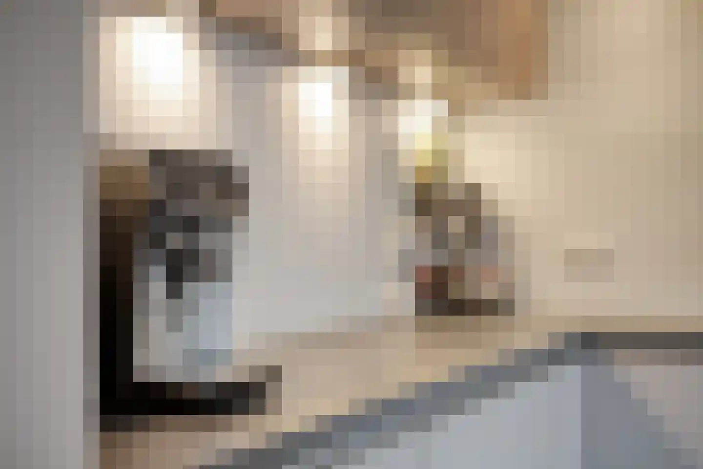 Alsemlaan 20 Waalre thumbnail 19