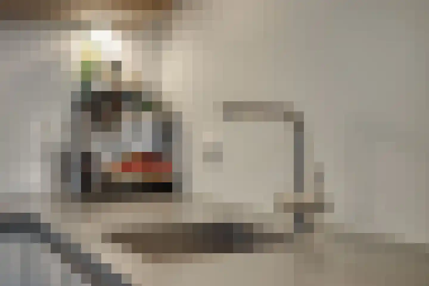 Alsemlaan 20 Waalre thumbnail 20