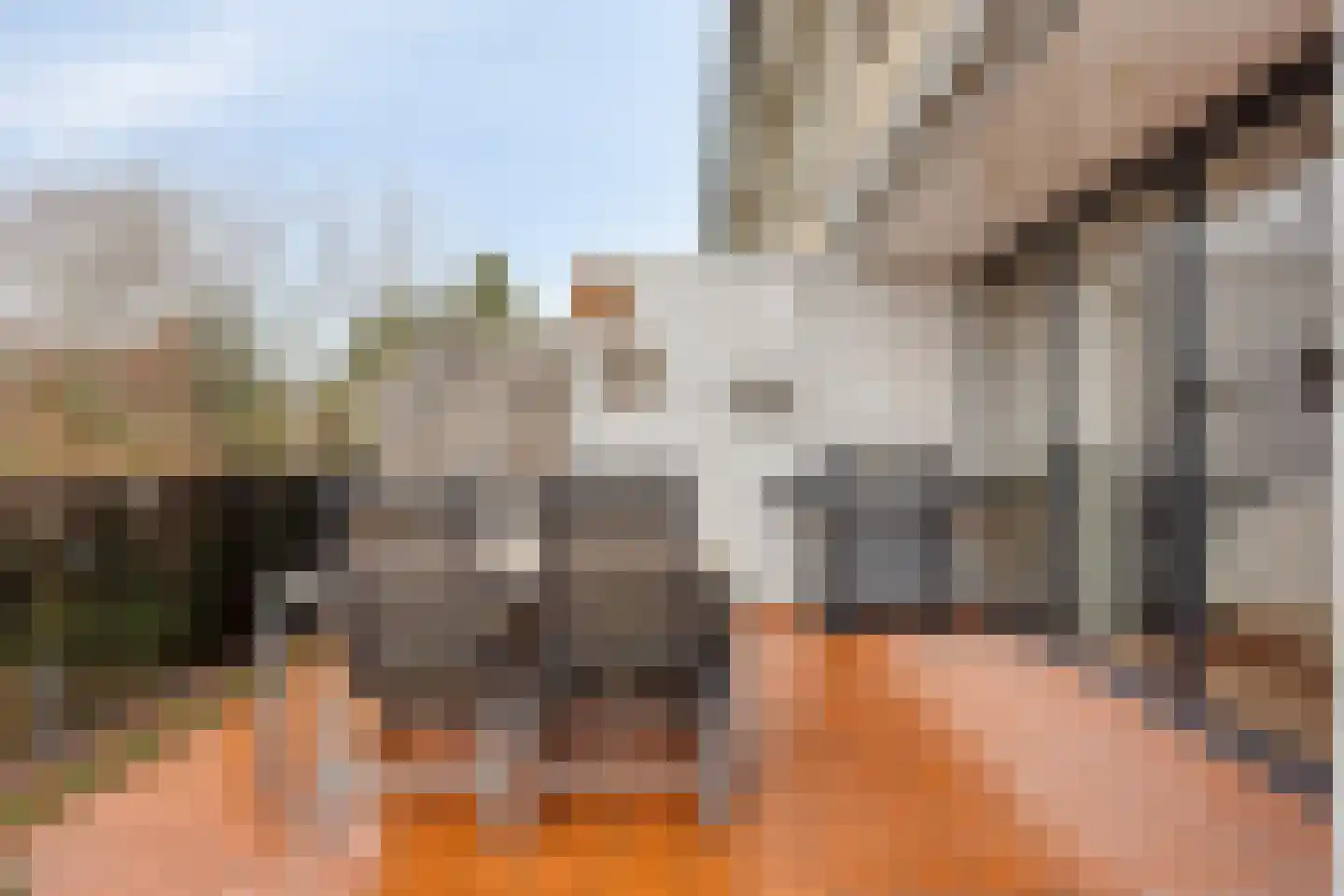 Alsemlaan 20 Waalre thumbnail 22