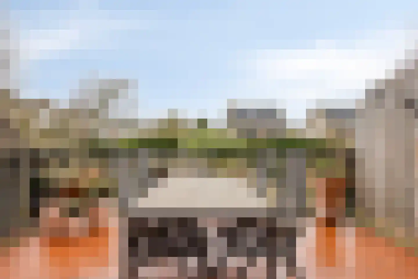Alsemlaan 20 Waalre thumbnail 24