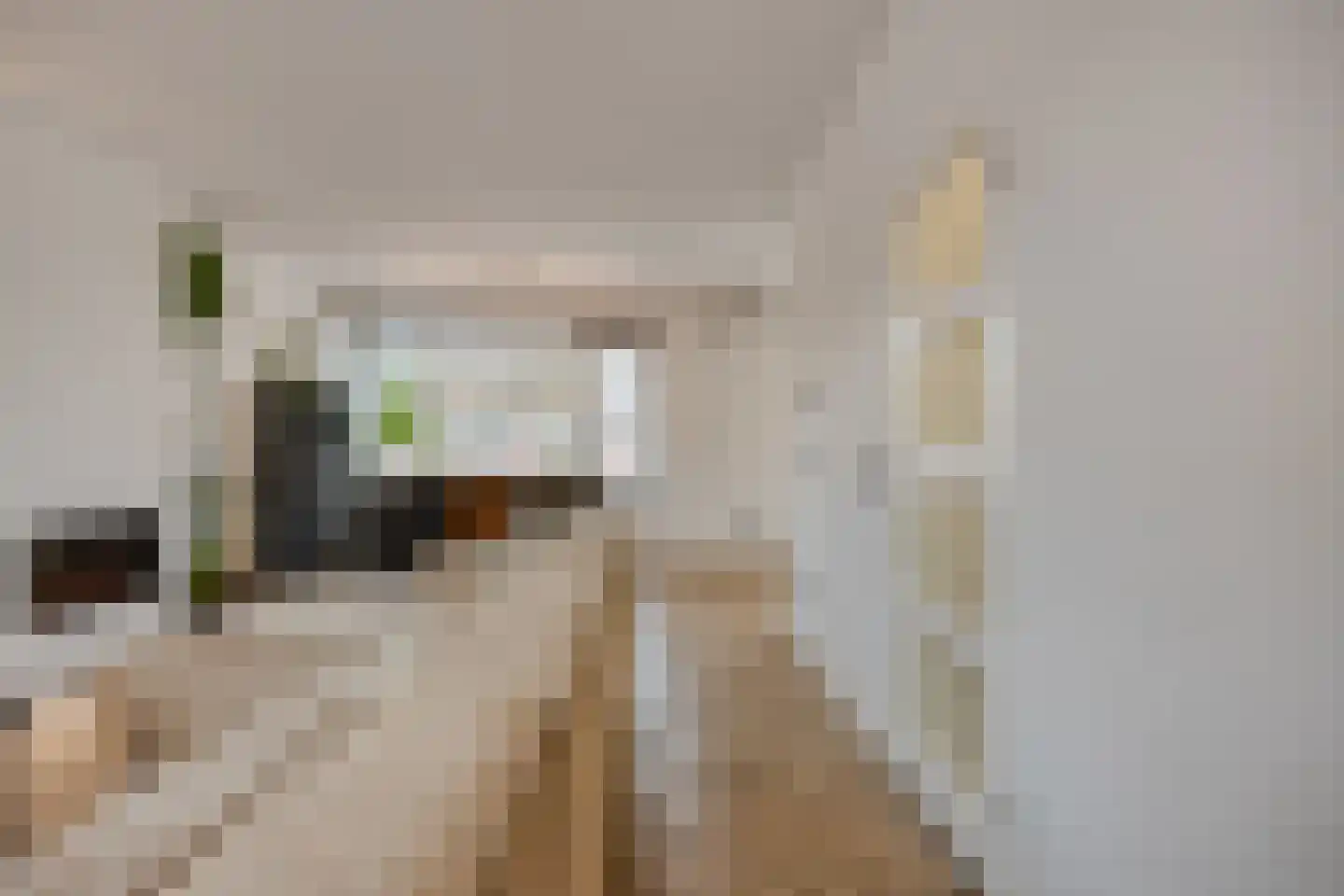 Alsemlaan 20 Waalre thumbnail 29