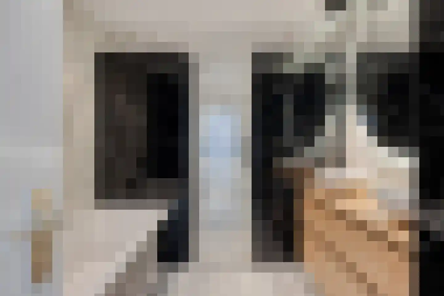 Alsemlaan 20 Waalre thumbnail 47
