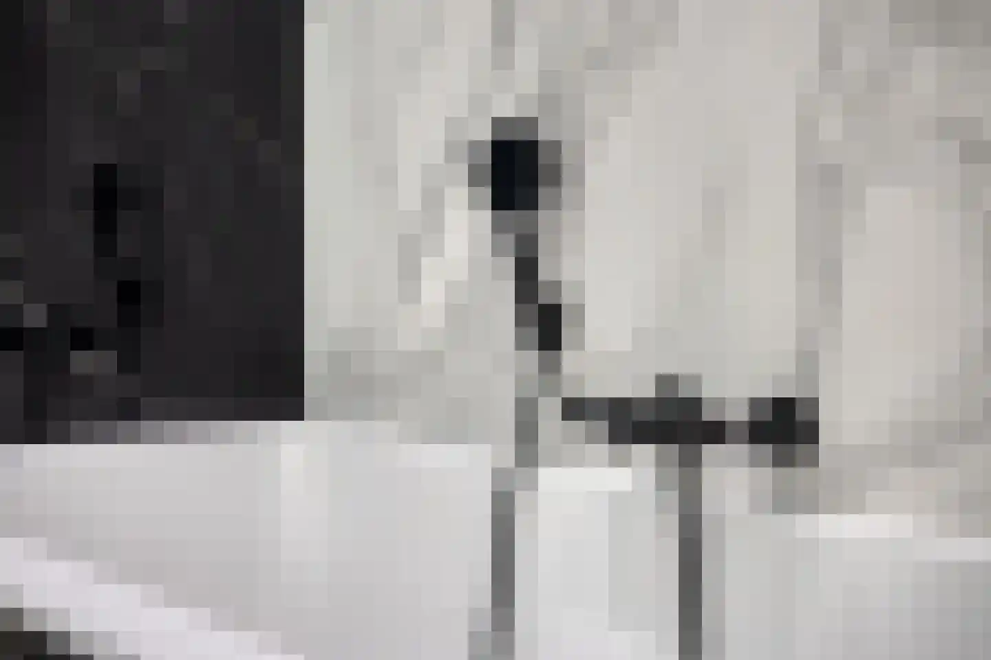 Alsemlaan 20 Waalre thumbnail 52