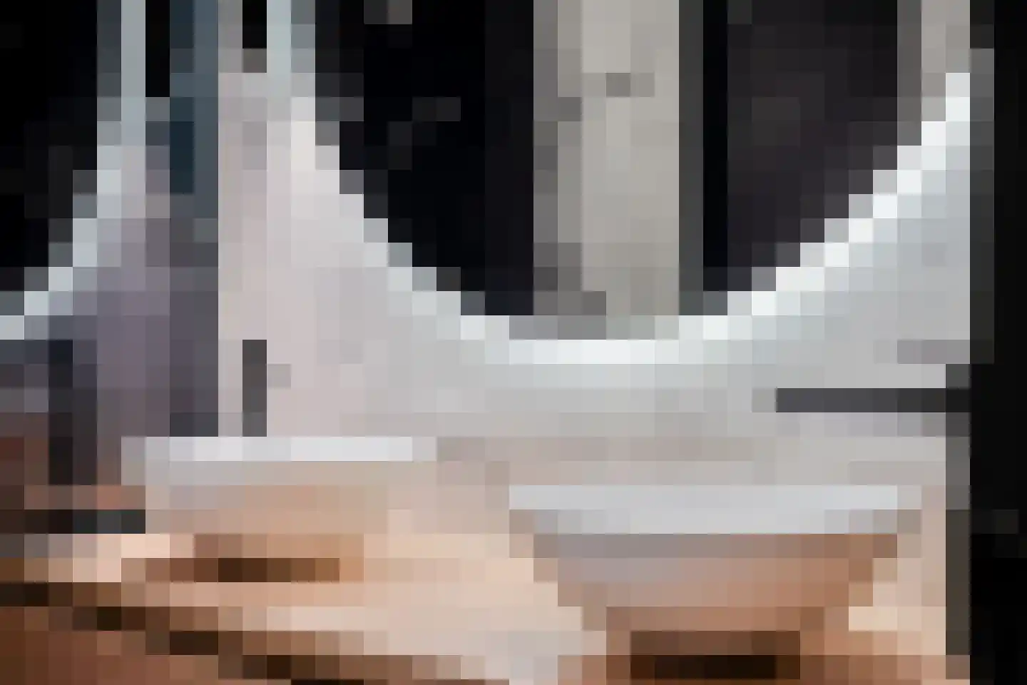 Alsemlaan 20 Waalre thumbnail 53