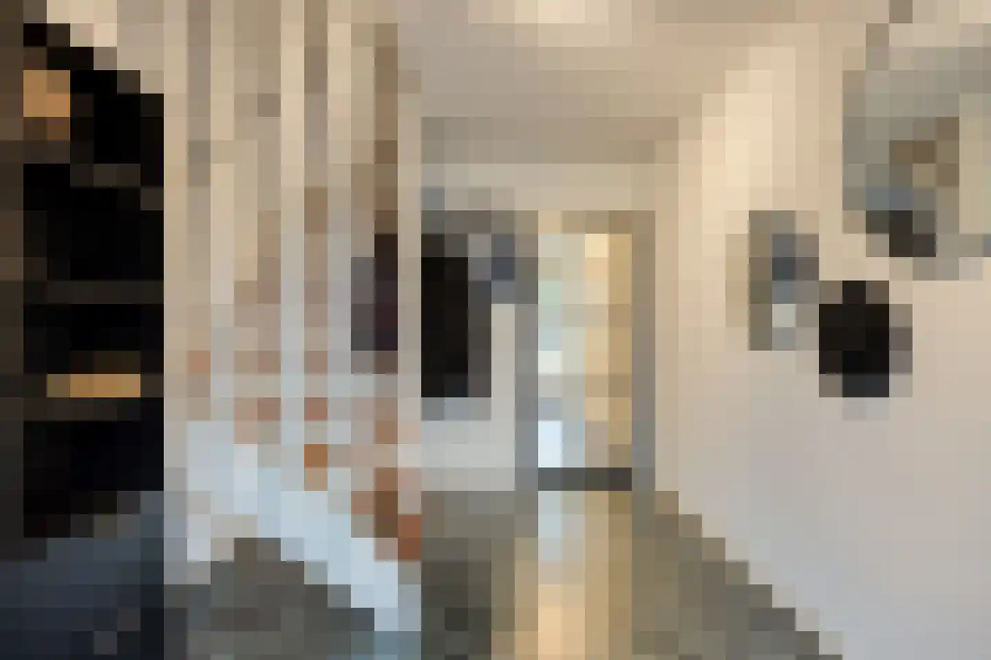 Alsemlaan 20 Waalre thumbnail 6