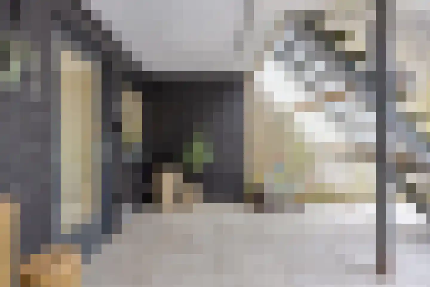 Alsemlaan 20 Waalre thumbnail 74