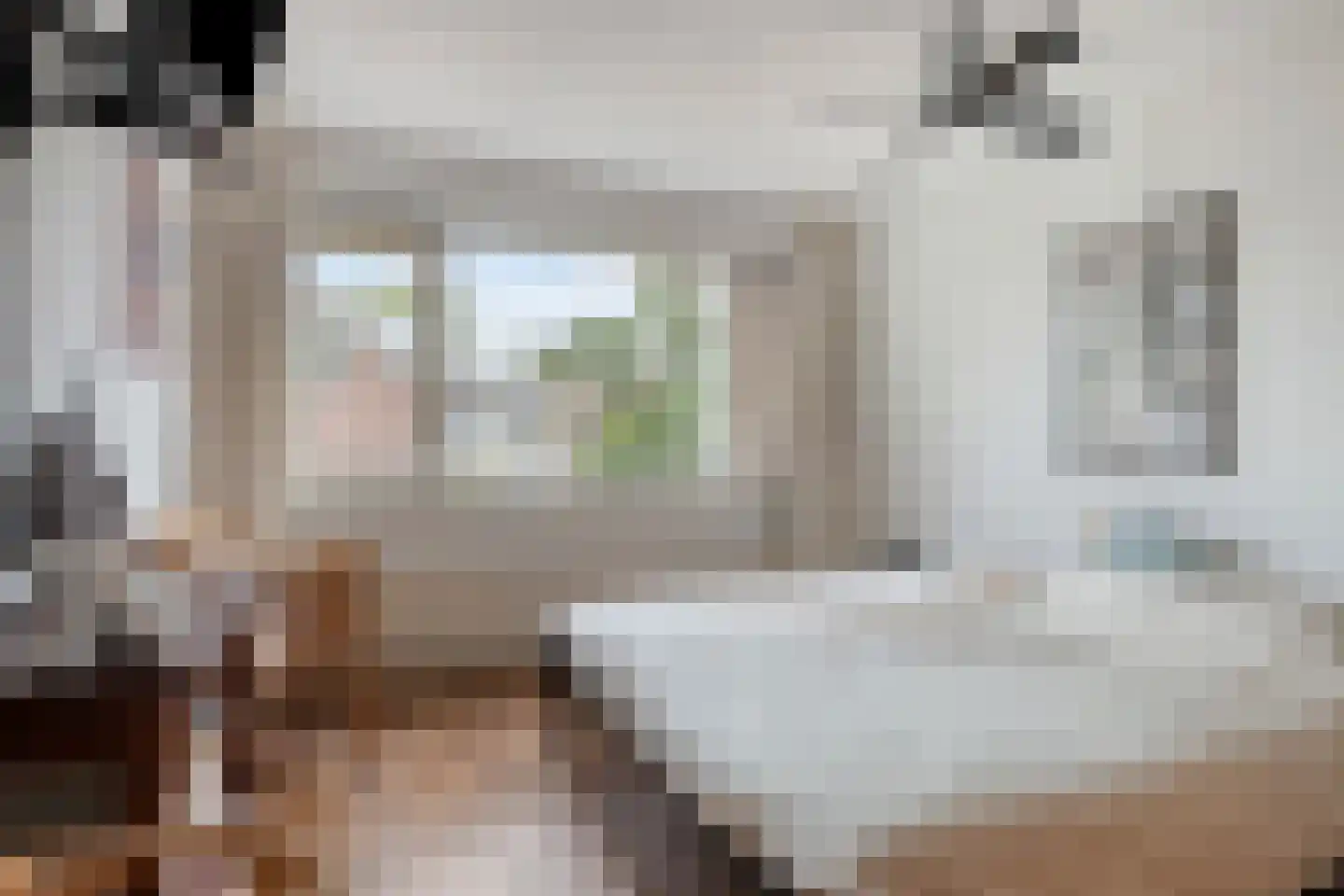 Alsemlaan 21 Waalre thumbnail 15