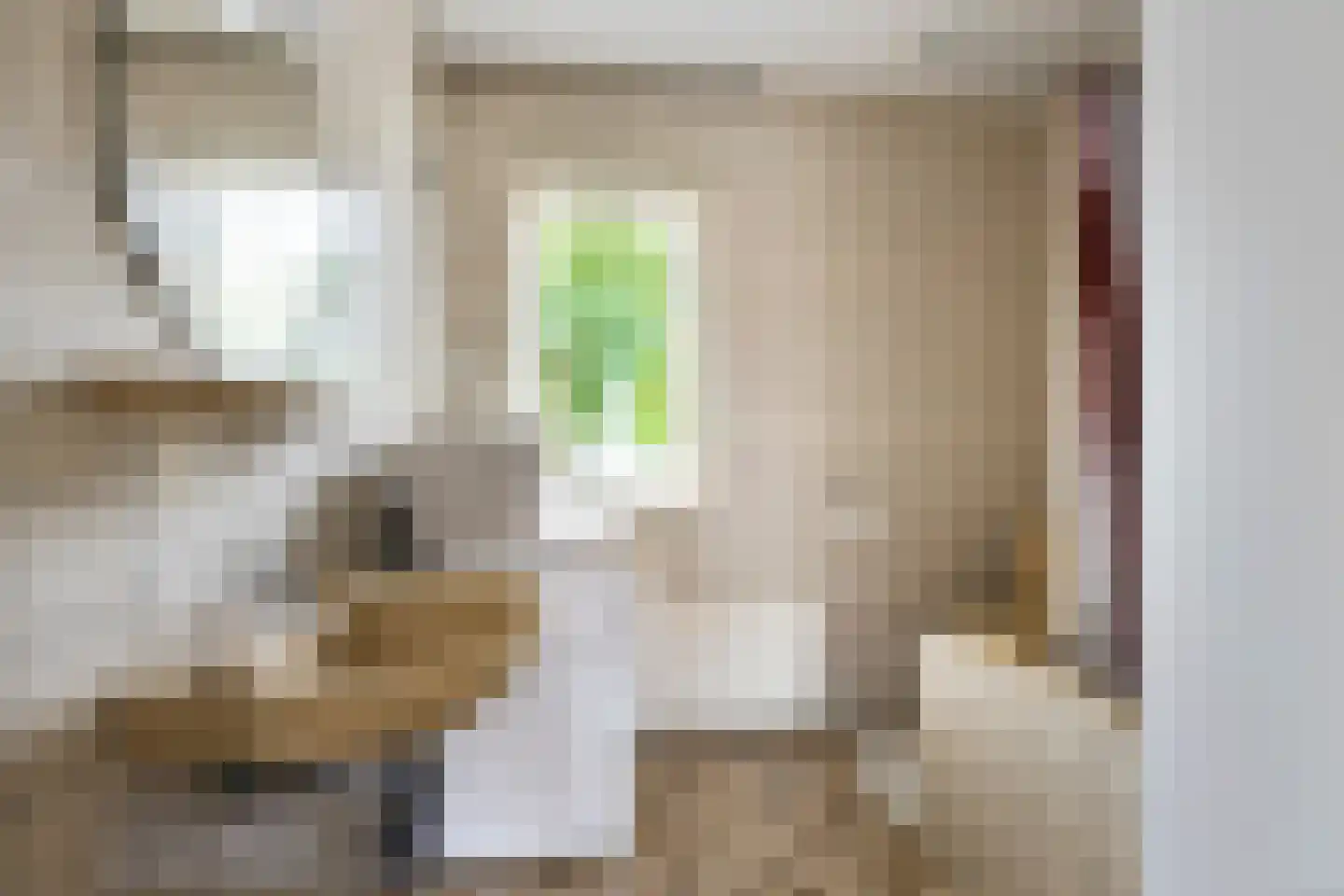 Alsemlaan 21 Waalre thumbnail 17