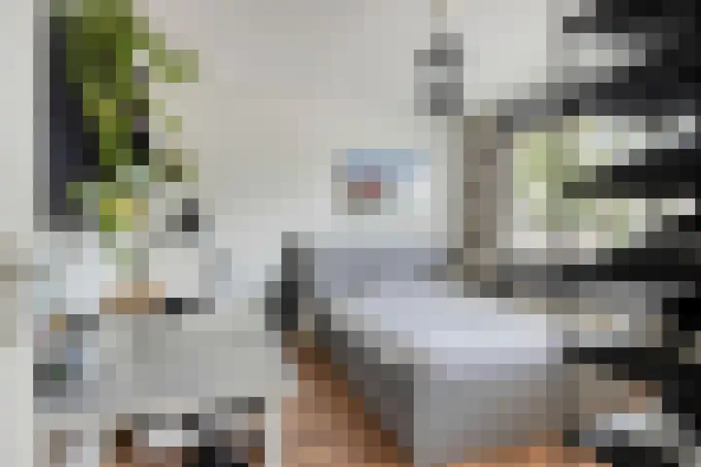 Alsemlaan 21 Waalre thumbnail 19