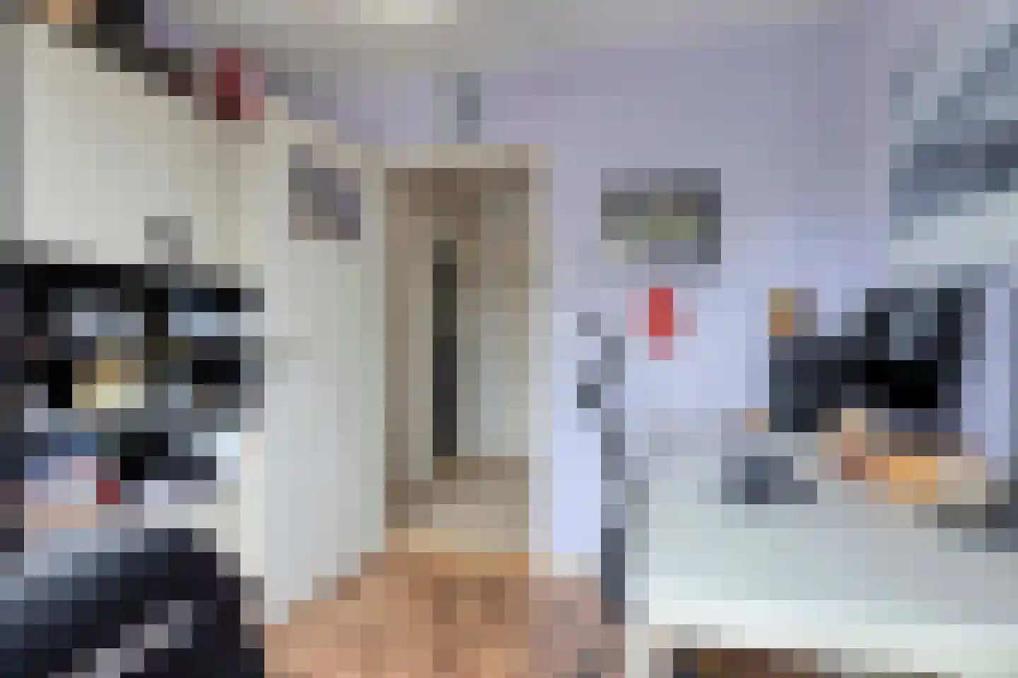 Alsemlaan 21 Waalre thumbnail 22
