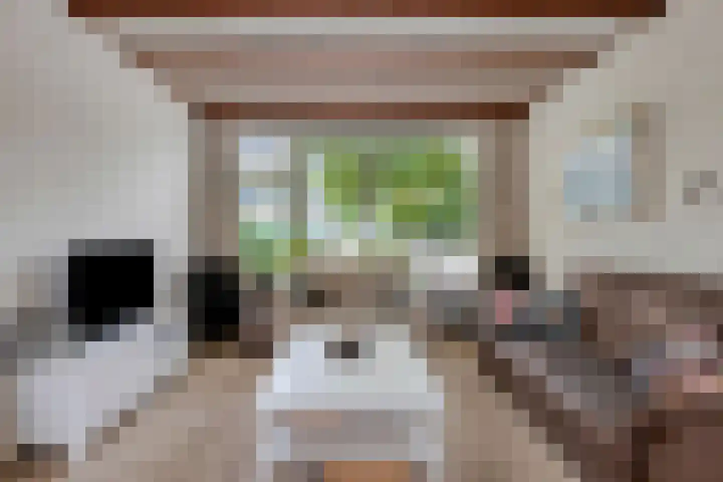 Alsemlaan 21 Waalre thumbnail 6