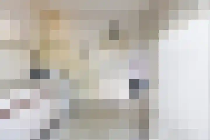 Alsemlaan 23 Waalre thumbnail 10