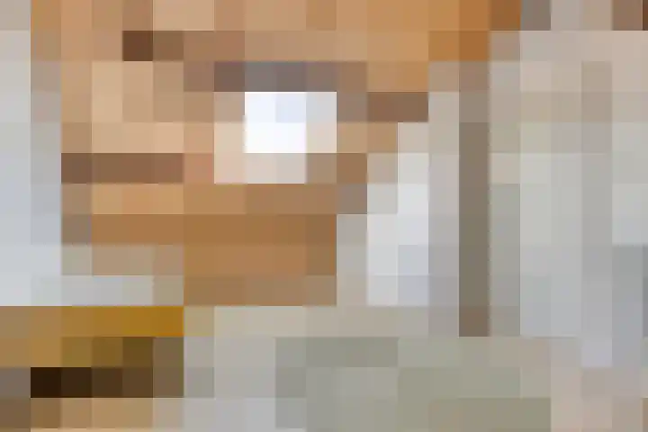 Alsemlaan 23 Waalre thumbnail 19