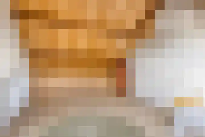 Alsemlaan 23 Waalre thumbnail 20