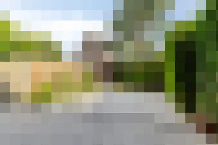 Alsemlaan 23 Waalre thumbnail 21