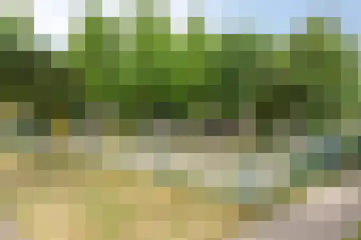 Alsemlaan 23 Waalre thumbnail 23