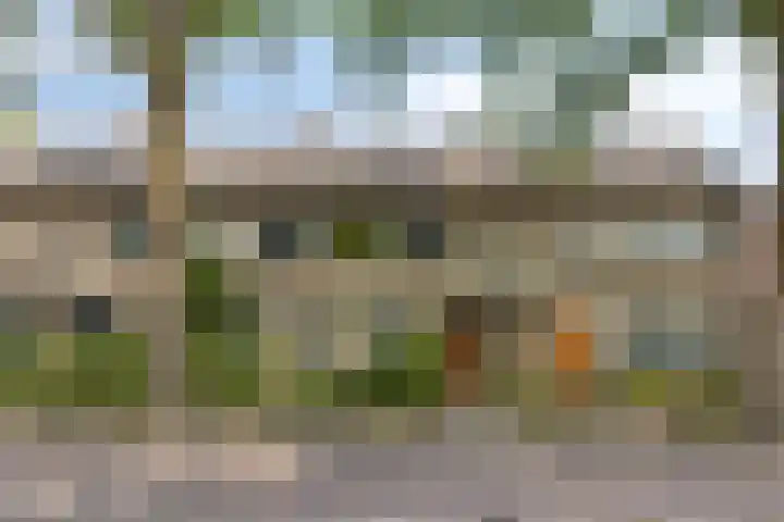 Alsemlaan 23 Waalre thumbnail 33