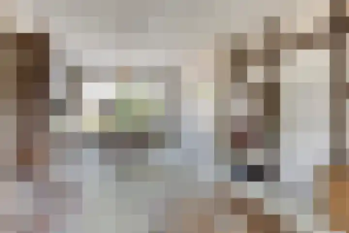 Alsemlaan 23 Waalre thumbnail 8