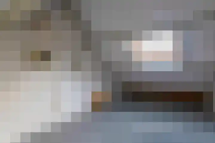 Alsemlaan 30 Waalre thumbnail 15
