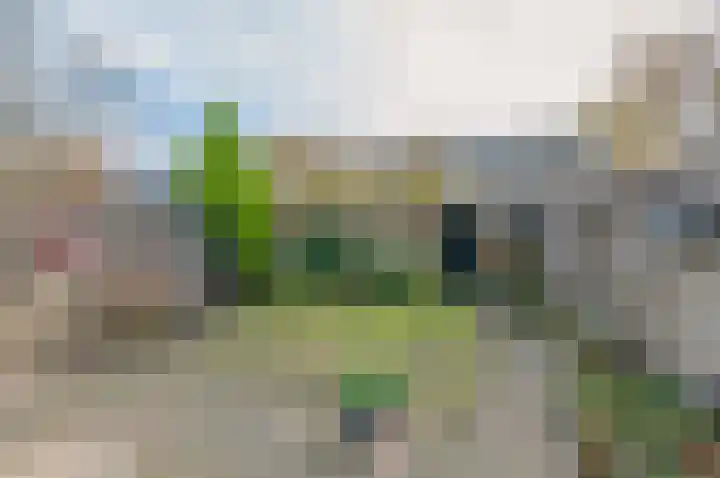 Alsemlaan 30 Waalre thumbnail 18