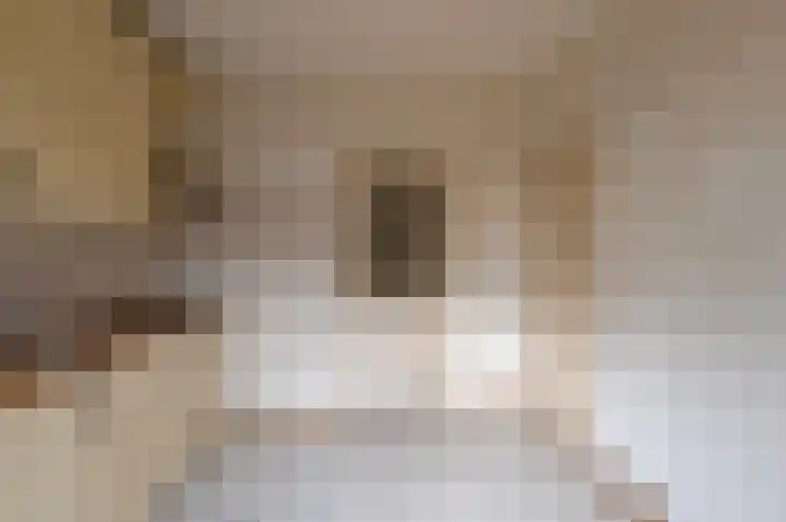 Alsemlaan 30 Waalre thumbnail 7