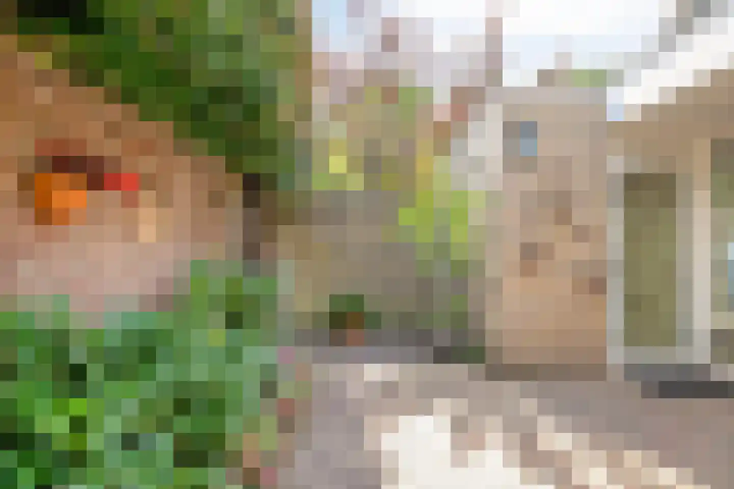 Alsemlaan 34 Waalre thumbnail 39