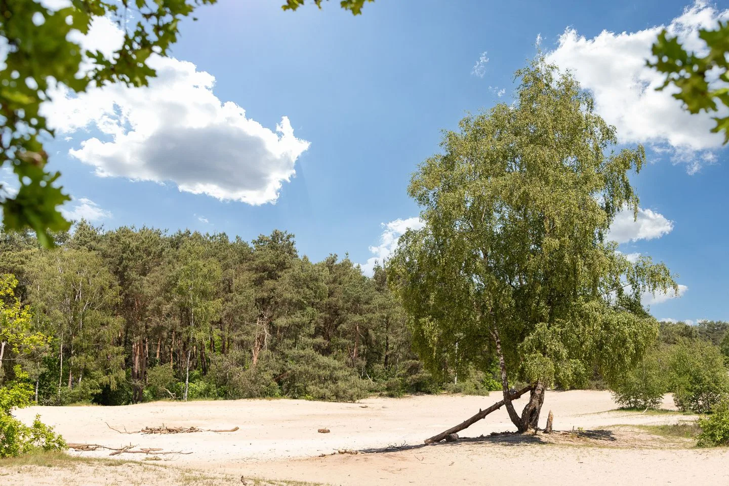 Alsemlaan 40 in Amstelveen