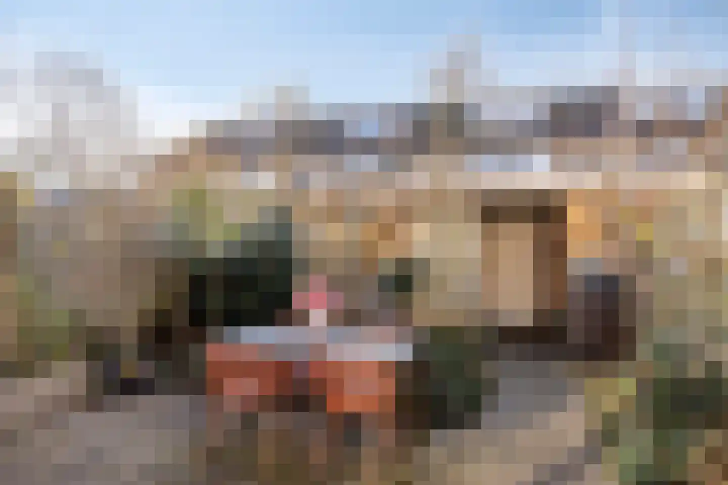 Alsemlaan 46 Waalre thumbnail 37