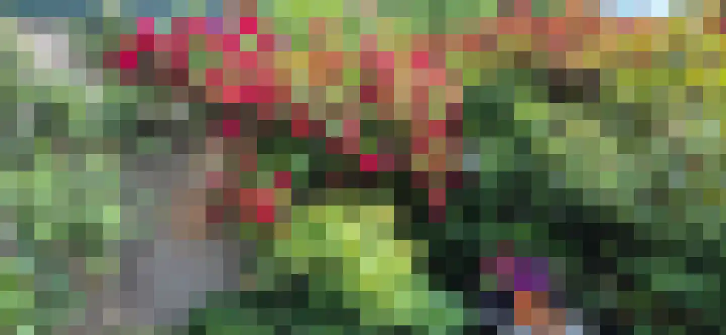 Alsemlaan 46 Waalre thumbnail 39
