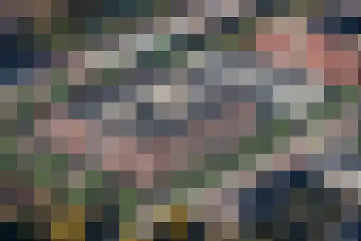 Alsemlaan 68 in Amstelveen