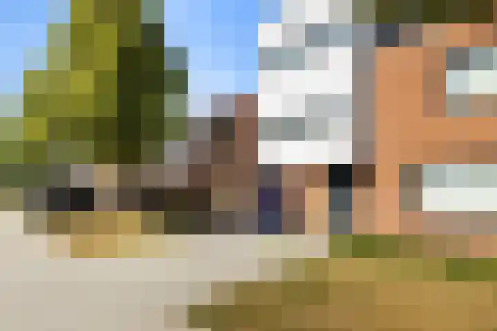 Alsemstraat 79 Hoogvliet Rotterdam thumbnail 6