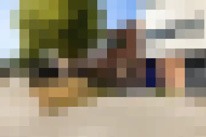 Alsemstraat 79 Hoogvliet Rotterdam thumbnail 7