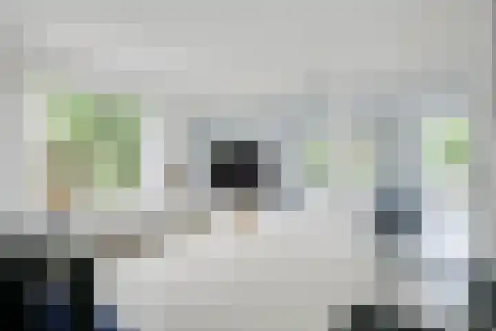 Alsemveld 2 Doetinchem thumbnail 11