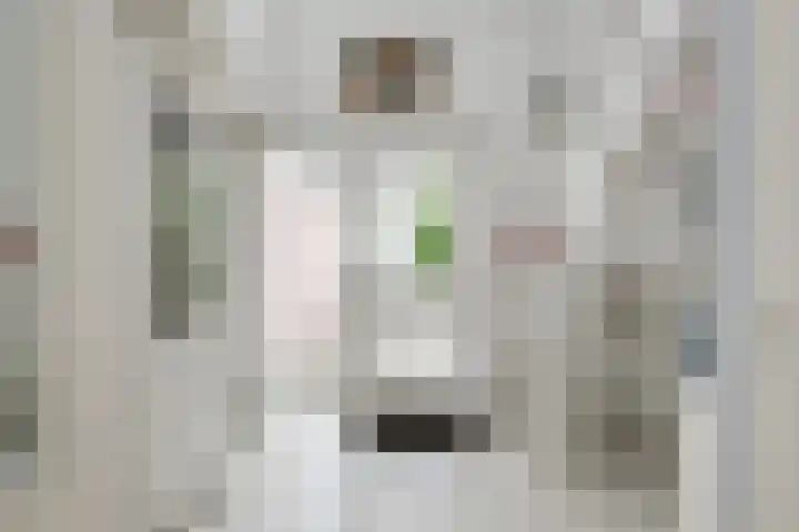 Alsemveld 2 Doetinchem thumbnail 32