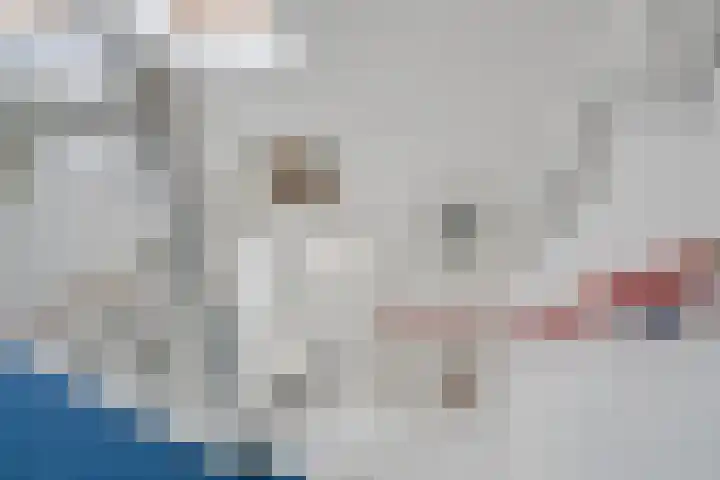 Alsemveld 2 Doetinchem thumbnail 39