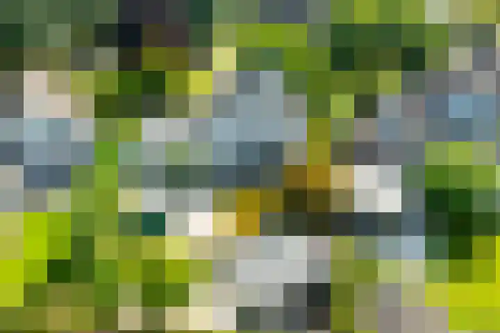 Alsemveld 2 Doetinchem thumbnail 4