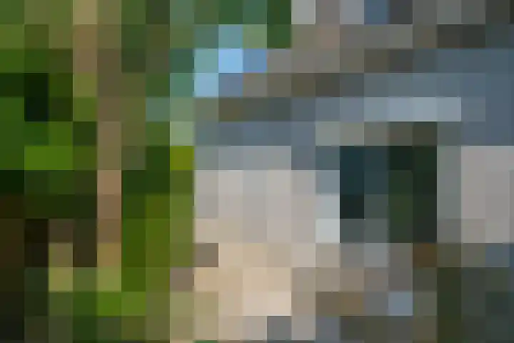 Alsemveld 2 Doetinchem thumbnail 53