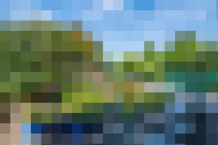 Alsemveld 2 Doetinchem thumbnail 55
