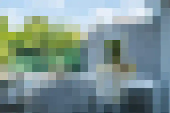 Alsemveld 2 Doetinchem thumbnail 56