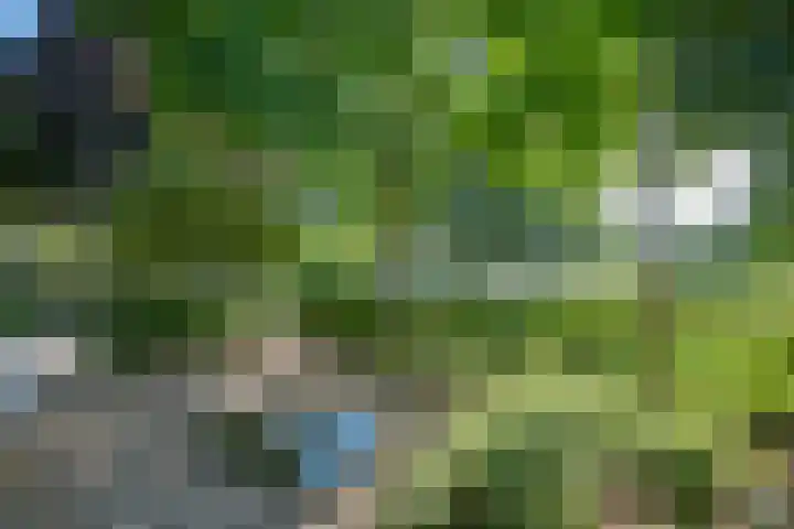 Alsemveld 2 Doetinchem thumbnail 6