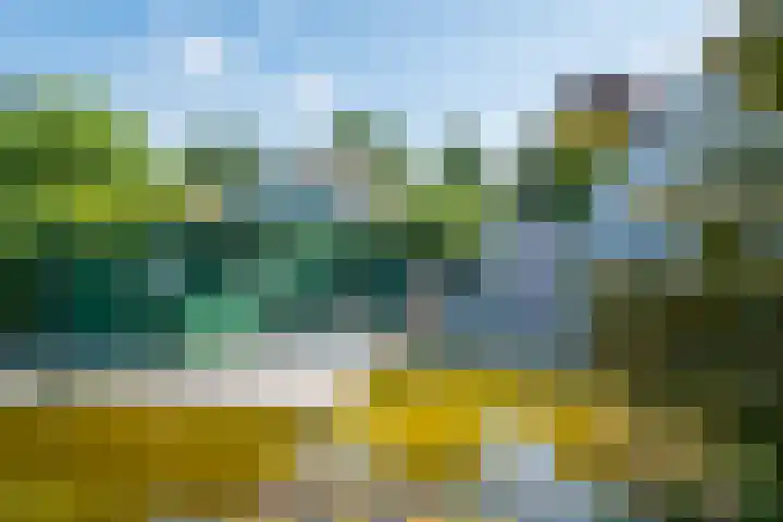 Alsemveld 2 Doetinchem thumbnail 68