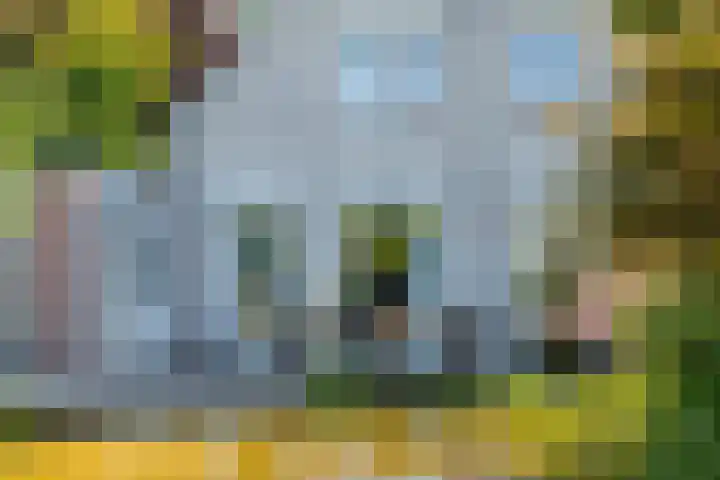 Alsemveld 2 Doetinchem thumbnail 70