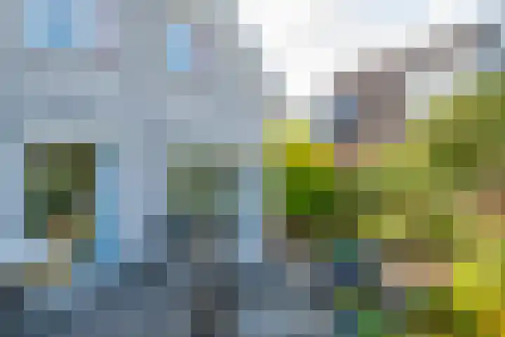 Alsemveld 2 Doetinchem thumbnail 71