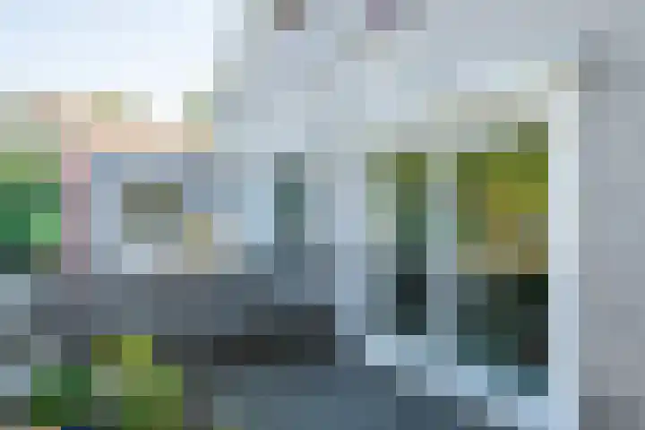 Alsemveld 2 Doetinchem thumbnail 73