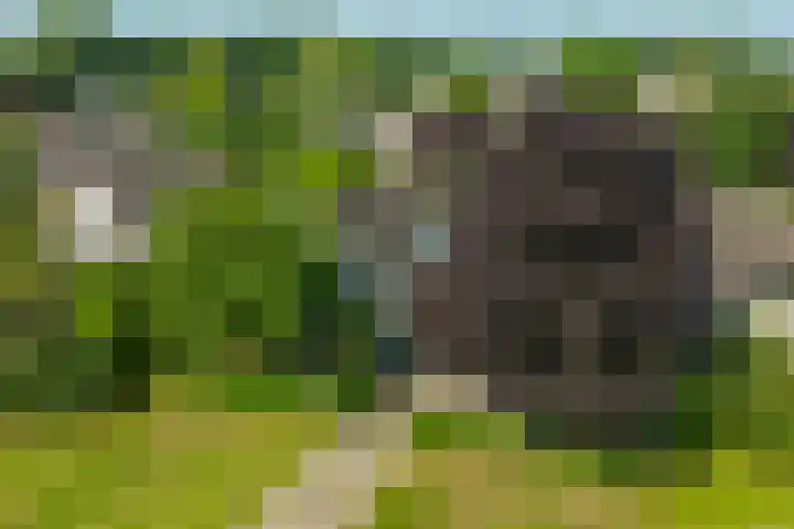 Alsemveld 2 Doetinchem thumbnail 74