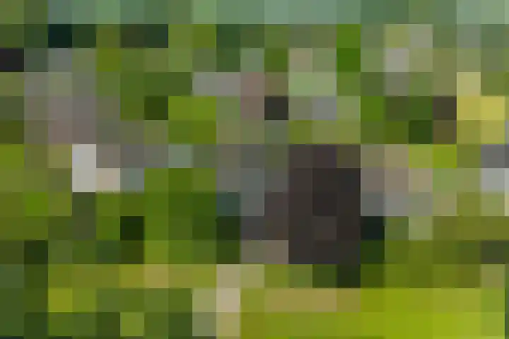 Alsemveld 2 Doetinchem thumbnail 75