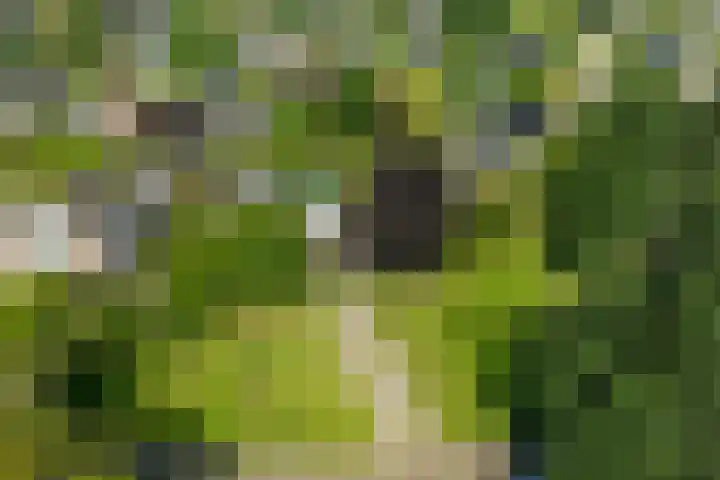 Alsemveld 2 Doetinchem thumbnail 76