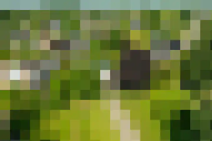Alsemveld 2 Doetinchem thumbnail 77